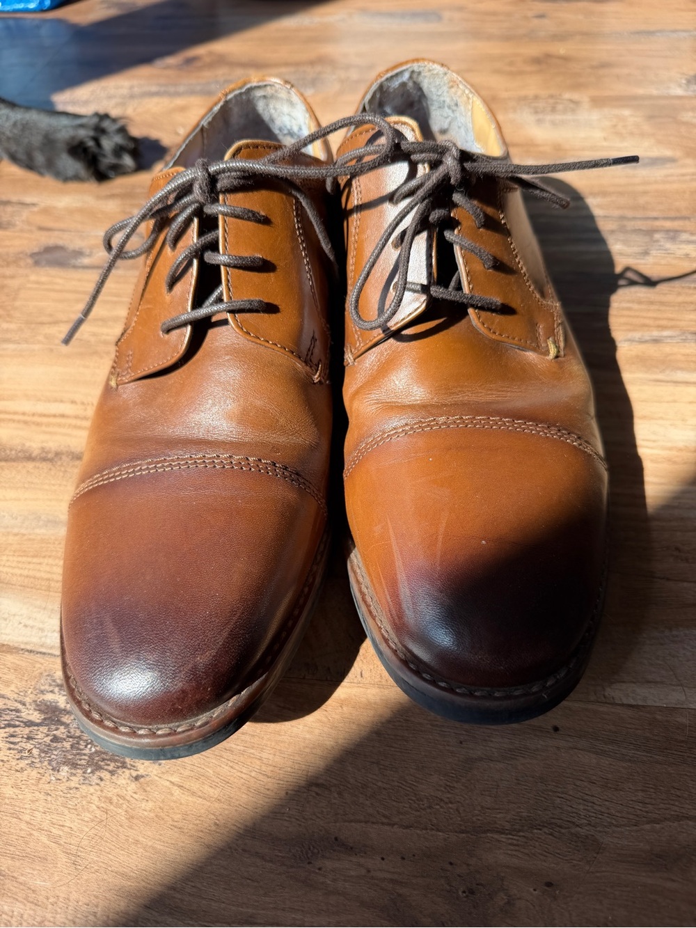 Classic Men's Brown Leather Cap-Toe Lace-Up Dress Shoes 8.5